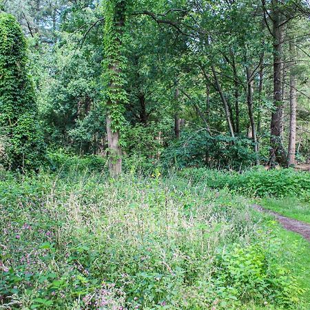 Huiske Oan T Bos Lage Mierde Zewnętrze zdjęcie