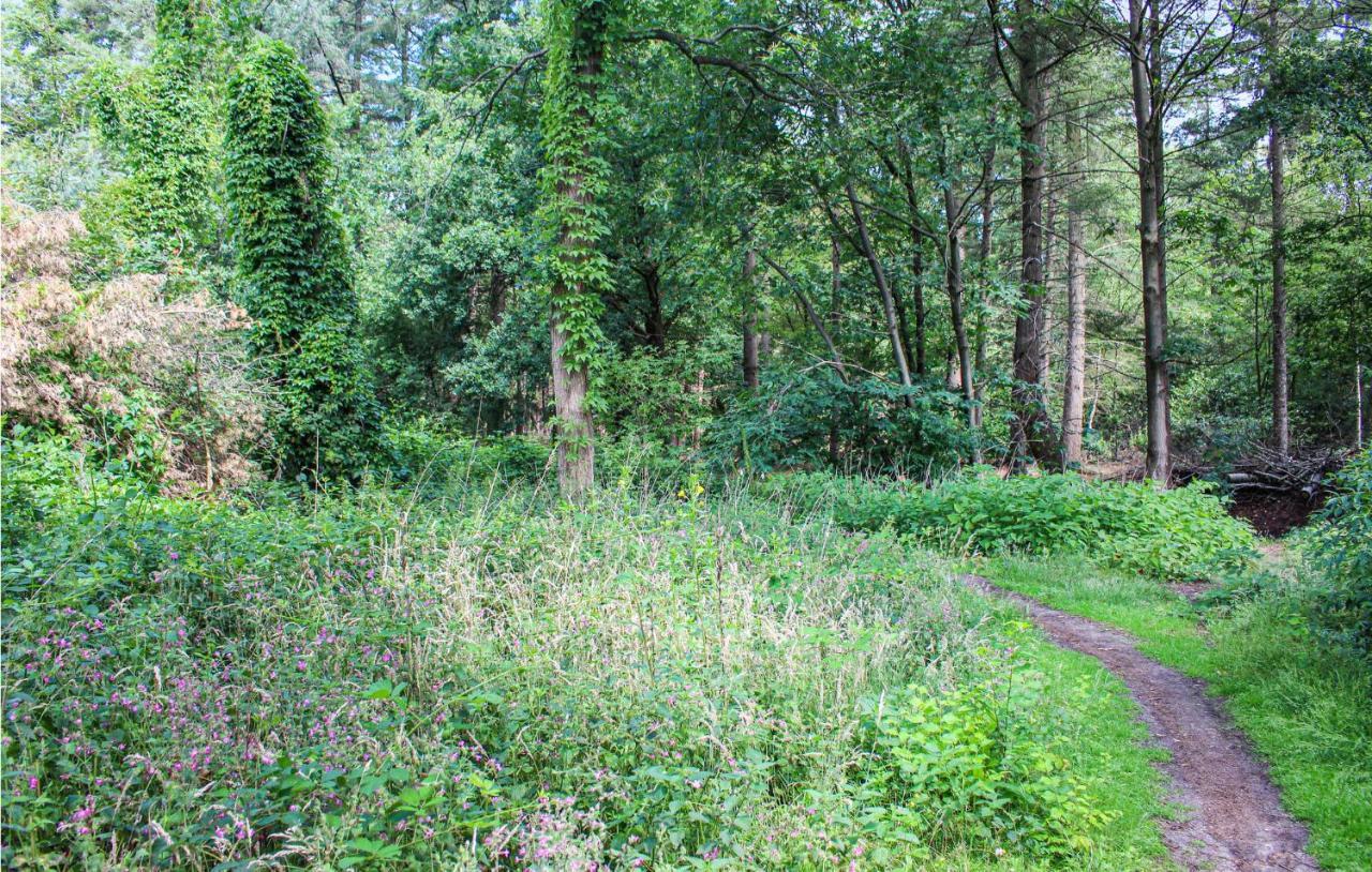 Huiske Oan T Bos Lage Mierde Zewnętrze zdjęcie